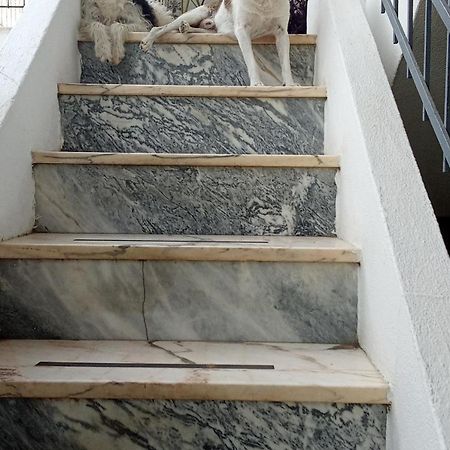 Ztir Daire Olhão Dış mekan fotoğraf