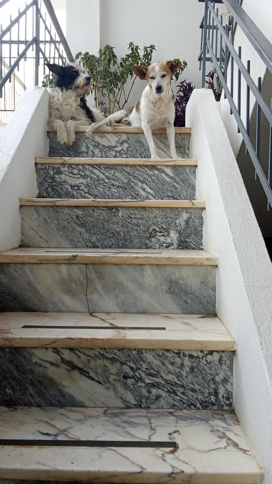 Ztir Daire Olhão Dış mekan fotoğraf
